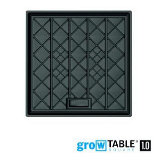 GrowTable 1.0   100x100