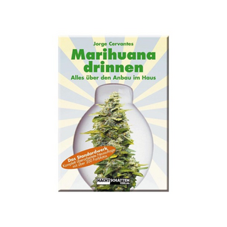 Marihuana drinnen, Jorge Cervantes, Nachtschatten