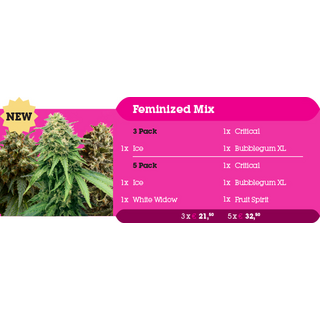 Royal Queen Seeds, Feminized mix