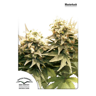 Dutch Passion, Masterkush