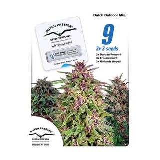 Dutch Passion, Dutch Outdoor Mix, feminisiert 9er,...