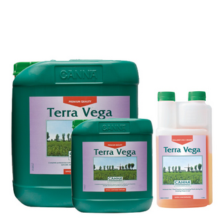 Canna Terra Vega