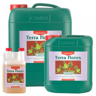 Canna Terra Flores