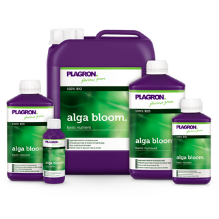 Plagron Alga Bloom