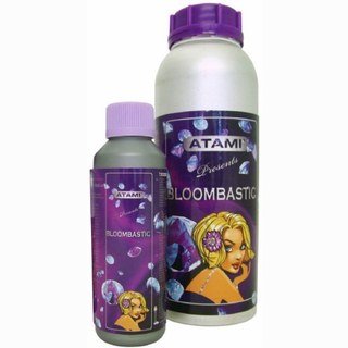 Atami, B´cuzz Bloombastic