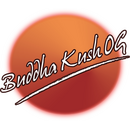 Big Buddha Seeds, Buddha Kush OG, fem 5 pc