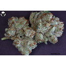 Rare Dankness Seeds, Scotts OG, feminized, 6 pc (Triangle...