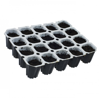 Spongepot, für 20 Samen, 4 x 5 Sponges, 9,5 x 12,5 cm