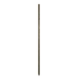 Pflanzen- Stock `Anti-Pest Stake Kunstoff schwarz, 90...