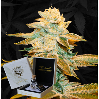 T.H.Seeds, LIMITED DROP, French Cookies x Strawbanana...
