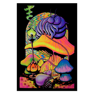 Poster Blacklight Filz Alice Dreamer (BLP-998) Dreaming...
