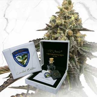 T.H.Seeds, LIMITED REGULAR EDITION, French Cookies x B-day Cake x SBC, regular, 11pc