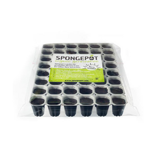 Spongepot, fr 48 Samen, 6 x 8 Sponges, 14,5 x 19,5 cm