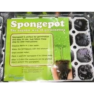 Spongepot, fr 96 Samen, 8 x 12 Sponges, 19,5 x 29,0 cm
