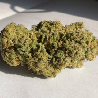 Dank Genetics, Sherbert Pebbles, feminized, 7pc (Fruity...