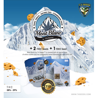 T.H.Seeds, Mont Blanc, (French C. x B-day Cake x Strawbanana cream) feminized, 5+2pc (+1pc French Mac), limited to 710 Packs