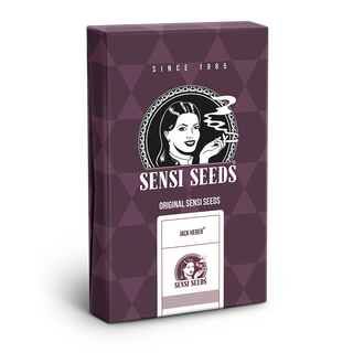 Sensi Seeds, Jack Herer, feminised