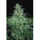 World of Seeds, S. African Kwazulu, regular, 10pc