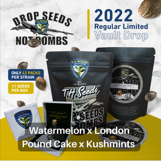 T.H.Seeds, LIMITED REGULAR EDITION, Watermelon x London...
