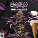 T.H.Seeds, French Macaron (Gelato 33 x French Cookies)...