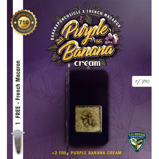 T.H.Seeds, Purple Banana Cream (Banana Punchsicle x French Macaron) feminized, 6pc (+1pc French Mac)