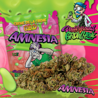 CBD Blten Underground Grow 420 - Amnesia im 2g oder 5g Aromabeutel, mit 1g Boveda Humidy-pack