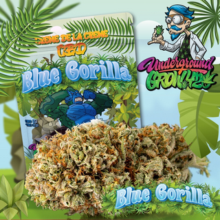 CBD Blten Underground Grow 420 - Blue Gorilla im 2g oder 5g Aromabeutel, mit 1g Boveda Humidy-pack