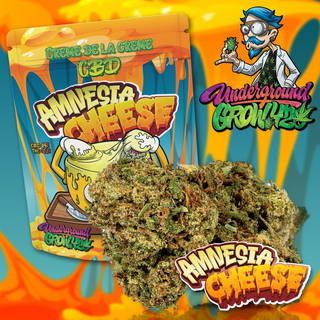 CBD Blten Underground Grow 420 - Amnesia Cheese im 2g oder 5g Aromabeutel, mit 1g Boveda Humidy-pack