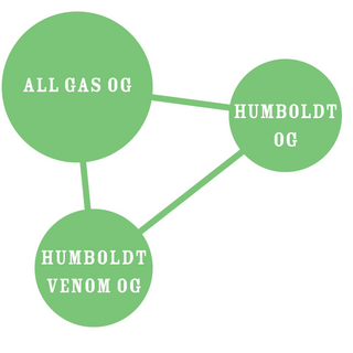 Humboldt Seed Company, All Gas OG, 5pc, feminized
