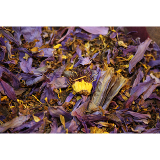 Kopfnote, Blauer Lotus - Nymphaea Caerulea, geschnittene...