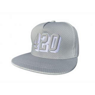 Flat Cap 3D Embroidery 420 silver-grey (Snapback - one Size)