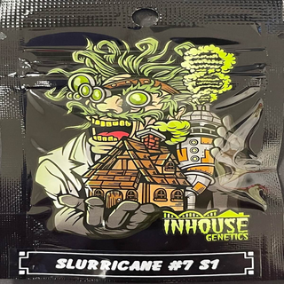 Inhouse Genetics, Slurricane #7, S1, fem, 3 oder 6 Stk