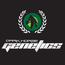 Dark Horse Genetics, Mad King, 12 pc REGULAR !!...